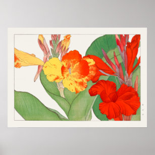 Canna Lily, Garden Blume, Konan, Vintage Natur Poster