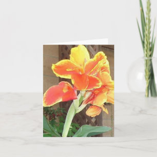 Canna Lily notecard Karte