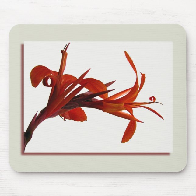 Canna Mousepad (Vorne)