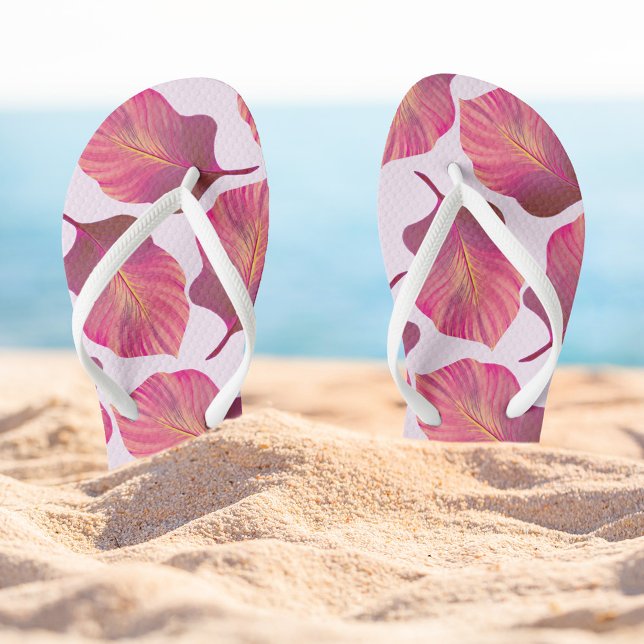 Canna Tropicanna Blätter in Rosa Flip Flops (Von Creator hochgeladen)