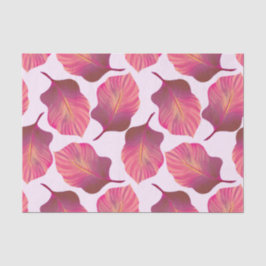 Canna Tropicanna Blätter in Rosa Seidenpapier