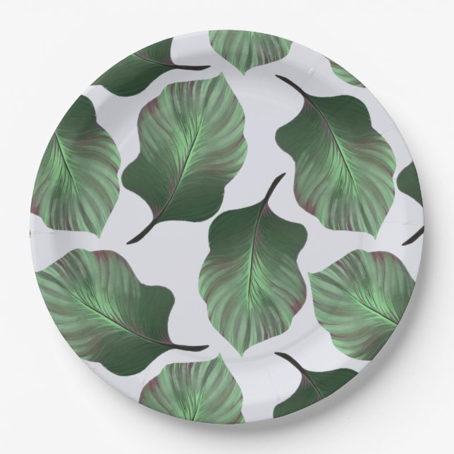 Canna Tropicanna Tropical Blätter, grün Pappteller (Vorderseite)