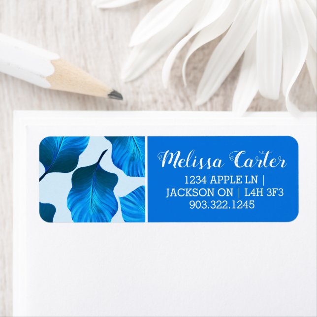 Canna Tropicanna Tropical Blätter in Locarno (Insitu)