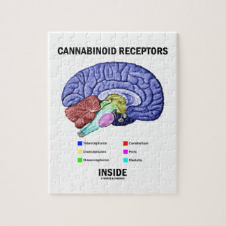 Cannabinoid Empfänger-Innere (Gehirn-Anatomie) Puzzle