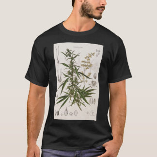 Cannabis Sativa - französischer botanischer Eintra T-Shirt