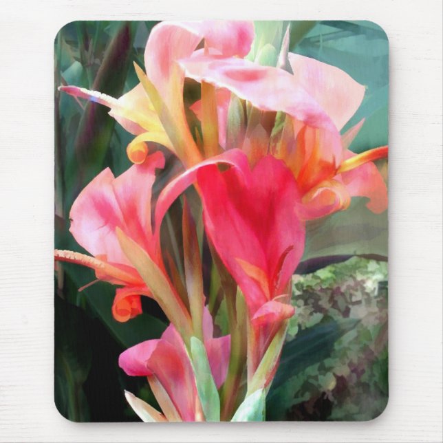 Cannas hübsch im Rosa Mousepad (Vorne)