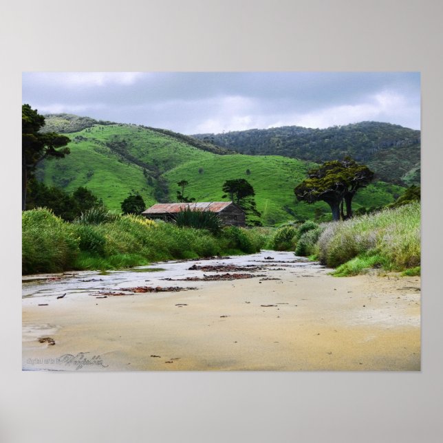 Cannibal Bay : Caitlins : New Zealand Poster (Vorne)