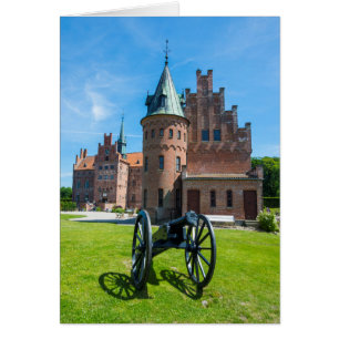 Cannon auf Schloss Egeskov