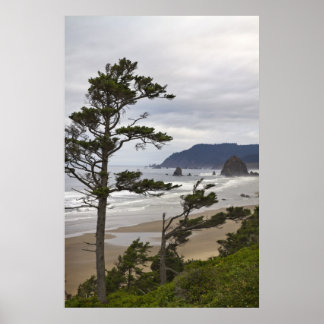 Cannon Beach aus Tolovana im Pazifik Oregon Poster