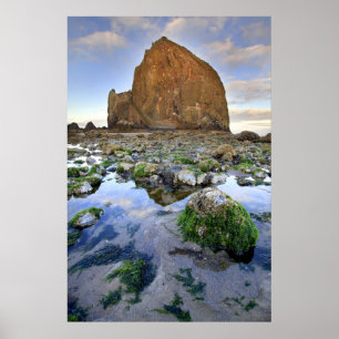 Cannon Beach Haystack Rock Low Tide Oregon Poster