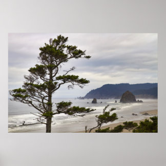 Cannon Beach Low Tide im Pazifik Oregon Poster