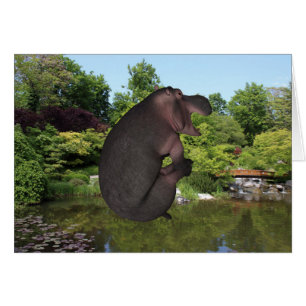 Cannonball Hippo