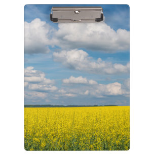 Canola Field & Clouds Klemmbrett