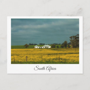 Canola Fields South Africa Landscard Postkarte