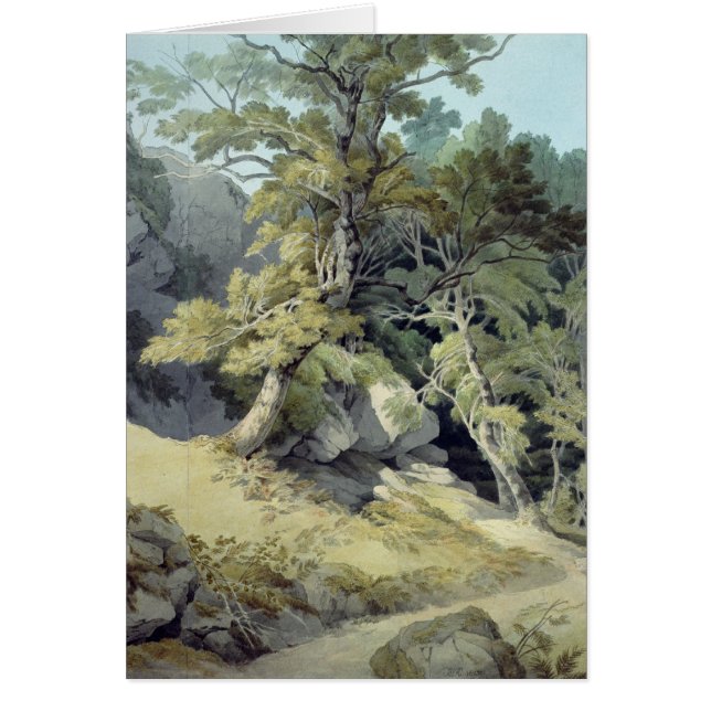 Canonteign, Devon (Vorne)