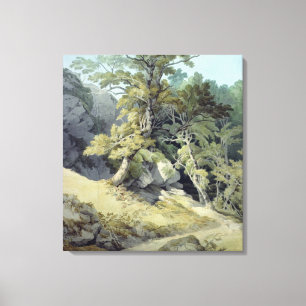 Canonteign, Devon Leinwanddruck