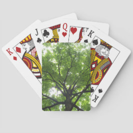 Canopy Cards Spielkarten
