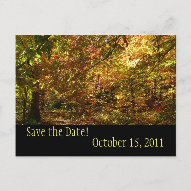 Canopy Herbstlaube Save the Date Postkarte (Vorderseite)