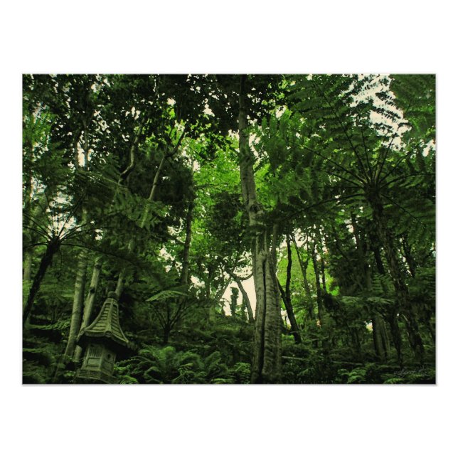 Canopy Lushness @ Madeira Portugal Foto (Vorne)