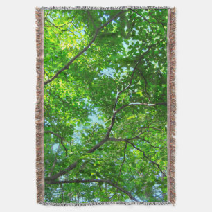 Canopy of Green, Leafy Branches with Blue Sky Decke
