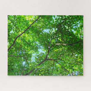 Canopy of Green, Leafy Branches with Blue Sky Puzzle