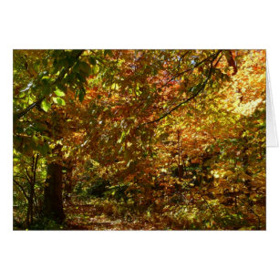 Canopy of Herbstlaubs II Gelbe Herbstfotografie