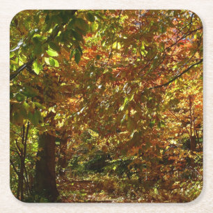 Canopy of Herbstlaubs II Gelbe Herbstfotografie Rechteckiger Pappuntersetzer