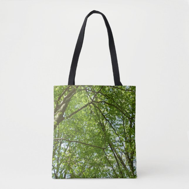 "Canopy of Spring Blätter Green Nature Scene (Vorderseite)
