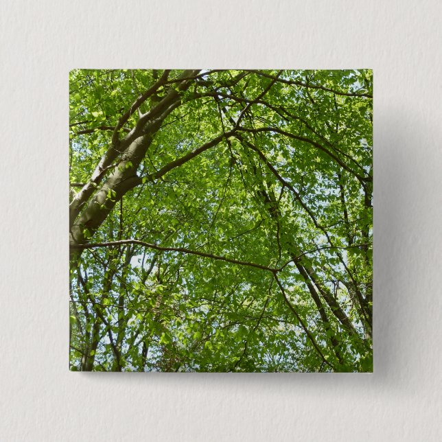 "Canopy of Spring Blätter Green Nature Scene Button (Vorderseite)