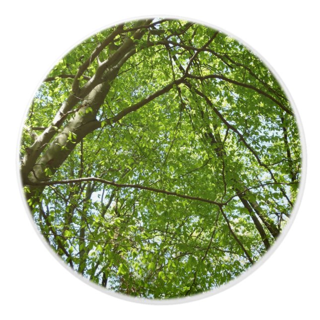 "Canopy of Spring Blätter Green Nature Scene Keramikknauf (Vorderseite)