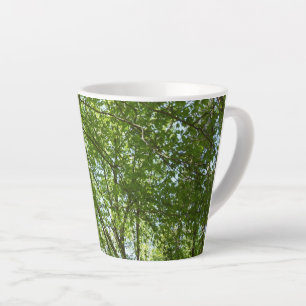 "Canopy of Spring Blätter Green Nature Scene Milchtasse