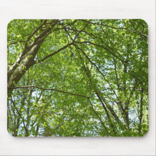 "Canopy of Spring Blätter Green Nature Scene Mousepad