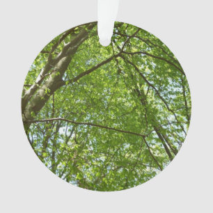 "Canopy of Spring Blätter Green Nature Scene Ornament