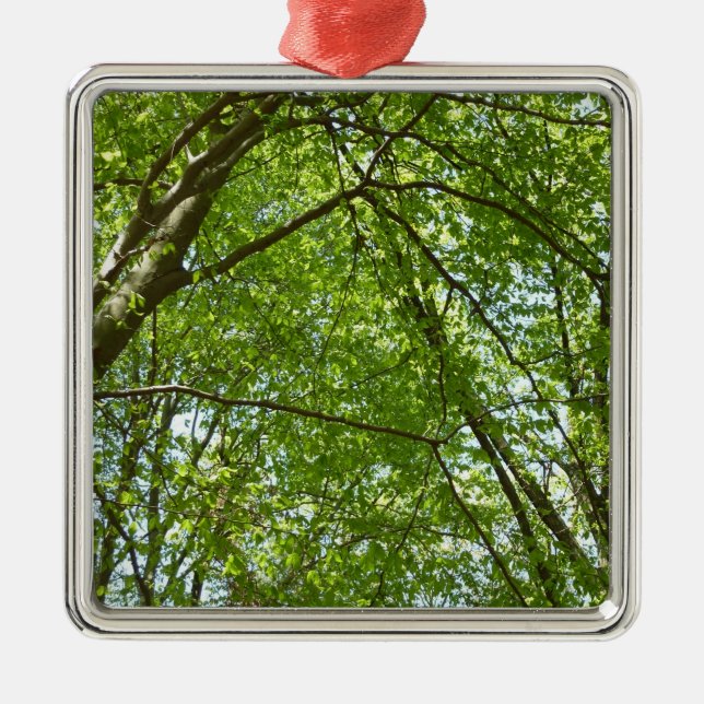 "Canopy of Spring Blätter Green Nature Scene Ornament Aus Metall (Vorne)
