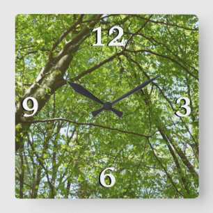"Canopy of Spring Blätter Green Nature Scene Quadratische Wanduhr