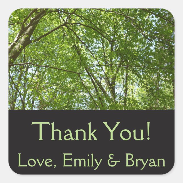 "Canopy of Spring Blätter Green Nature Scene Quadratischer Aufkleber (Vorderseite)