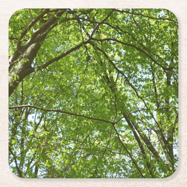 "Canopy of Spring Blätter Green Nature Scene Rechteckiger Pappuntersetzer (Vorderseite)