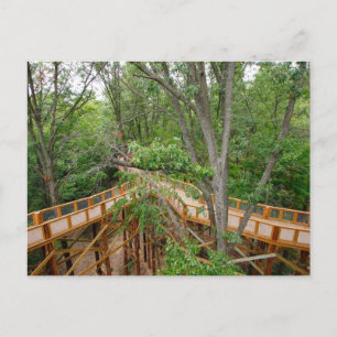 Canopy Walk, Blacklick Woods Metro Park, Ohio Postkarte