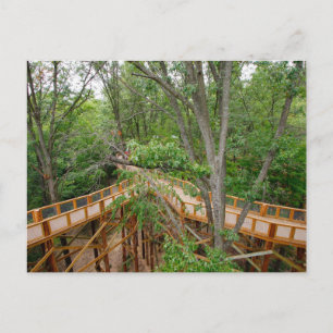 Canopy Walk, Blacklick Woods Metro Park, Ohio Postkarte