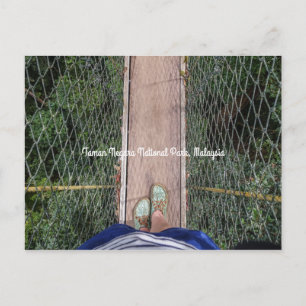 Canopy Walkway Taman Negara Nationalpark Malaysia Postkarte