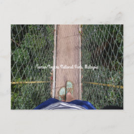 Canopy Walkway Taman Negara Nationalpark Malaysia Postkarte