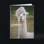 CAN'T BELIEVE YOU ARE CELEBRATING "21st" BIRTHDAY Karte<br><div class="desc">HORSE JUST CANNOT BELIEVE THAT HIS FRIEND OR FAMILY MEMBER IS ALL READY TO CELEBRATE "21st BIRTHDAY" STORES! REMEMBER YOU CAN CHANGE THE AGE AND VERSES IN AND OUT IF YOU WISH IN SECOND!</div>