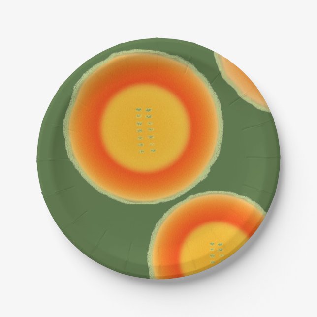 Cantalope Cantaloupe Paper Tellers Frucht Teller (Vorderseite)
