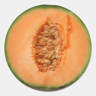 Cantaloupe-Aufkleber Runder Aufkleber