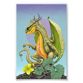 Cantaloupe Dragon 4x6 Print Fotodruck