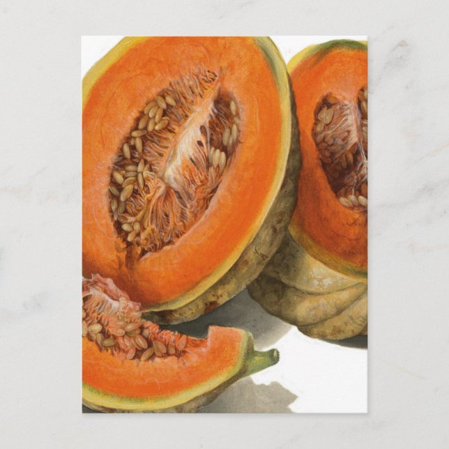 Cantaloupe melon Illustration Postkarte (Vorderseite)