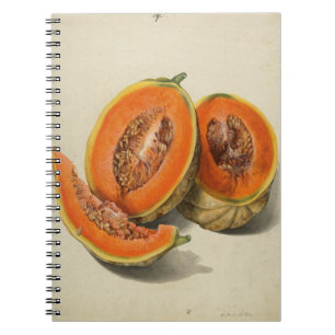 Cantaloupe melon Illustrationsbuch Notizblock