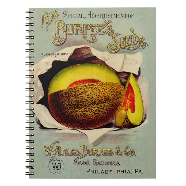 Cantaloupe Seed Advertising Antique Art Notizblock (Vorderseite)