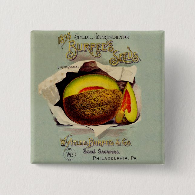 Cantaloupe Seed Advertising Art Antique Button (Vorderseite)