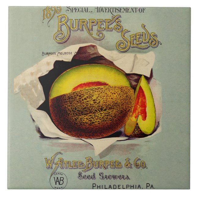 Cantaloupe Seed Advertising Art Antique Fliese (Vorderseite)